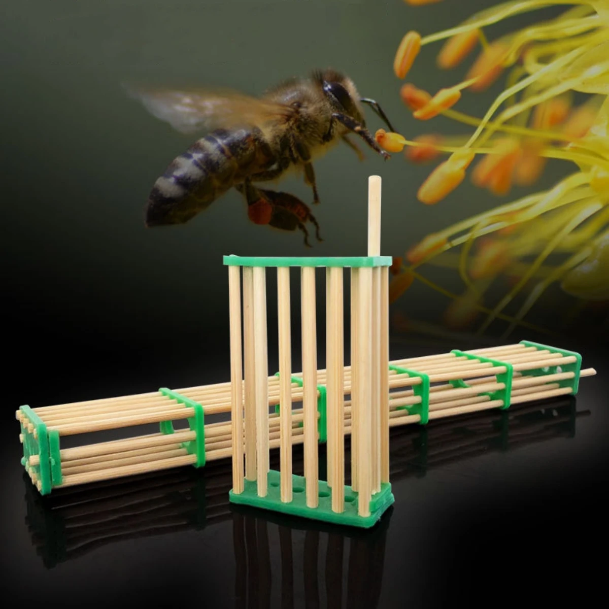 10Pcs Box-Shaped Bamboo Imprisoning Queen Cage No Hurting Bee Queen Rearing Cage Thickened Closing Beekeeping Tools