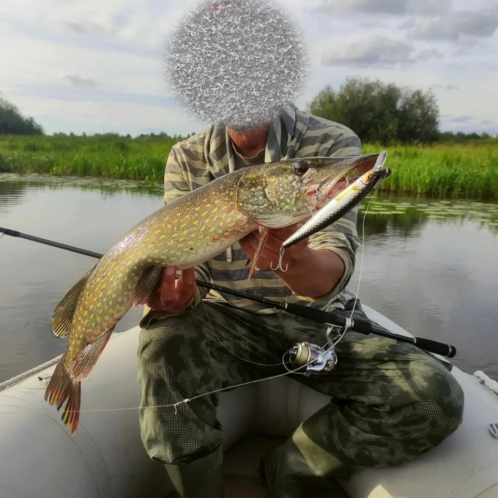 Jackall Magsquad 160SP Minnow Angelköder Wobbler 16 cm 33,5 g Suspension Wobbler für Hecht Wobbler für Zander Flirt Minnow Hecht – Detail 1