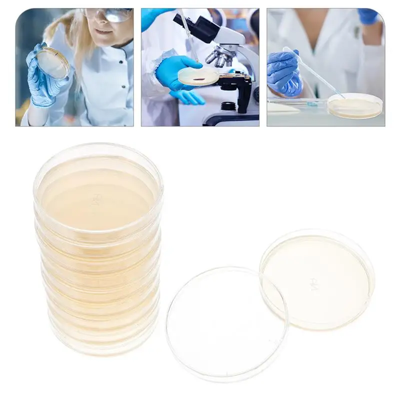Piastre Di Agar Prefabbricate Da 10 Pezzi Piastre Di Petri Con Forniture Per Esperimenti Scientifici Di Agar Piastre Per Bambini Di Età Scolare Per L'
