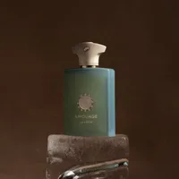 Amouage Reflection XIV parfum homme 100ml longue durée chaud Woody parfum aromatique audacieux masculin élégant parfum décision Lux 3