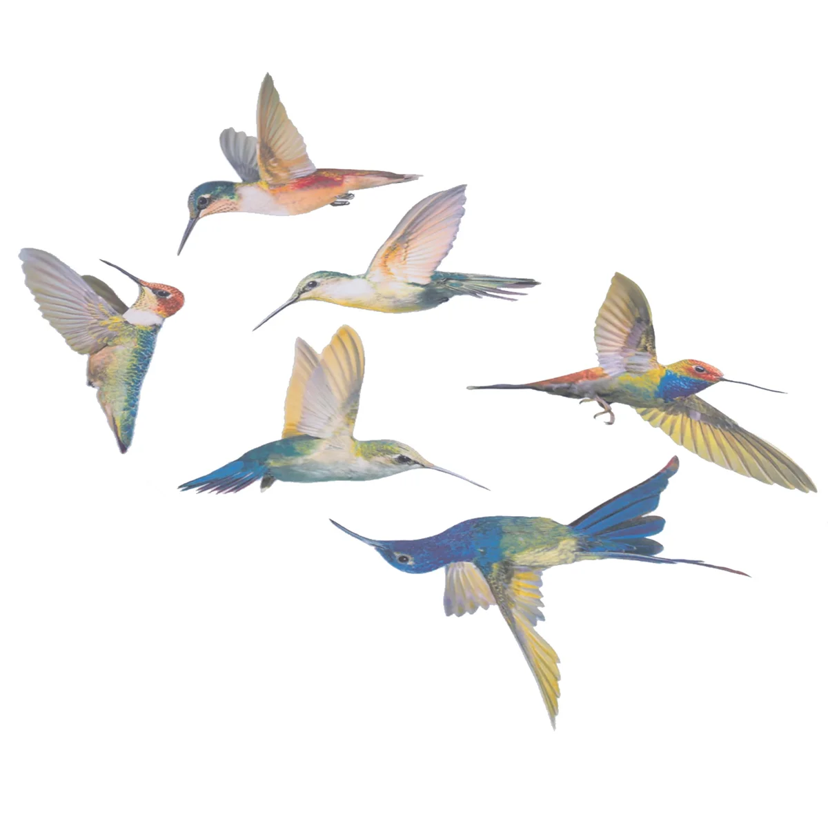 6 Pcs Lrge Size Bird Window Clings Anti-Collision Window Clings Decals to Prevent Bird Strikes on Glass