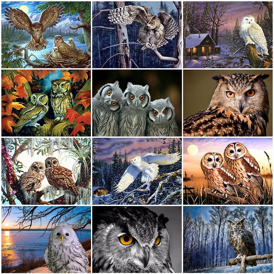 EverShine 5D Diamond Painting Owl s Full Square Cross Stitch Diamond Embroidery Animal Rhinestones Picture Home Decor