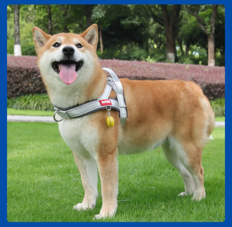 Dog Harness No Pull Reflective Vest For Small And Medium Dogs_voghion.com