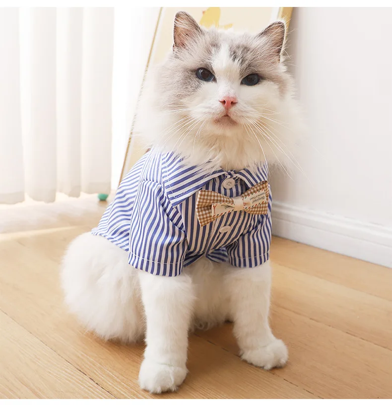 Description Picture 5 of itemPet Cat Clothes Summer Breathable Korean Style Striped Shirt Two Months German Curly Cat out Anti-Dirty Two Feet Apparel
