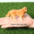 Retriever