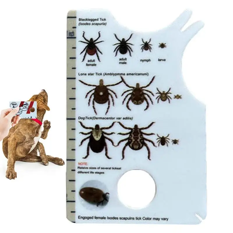 

Tick Card For People Allows Easy Removal Of Ticks Tick Remover For Dogs And Cats With Handy Pocket Portable Pet lice catcher