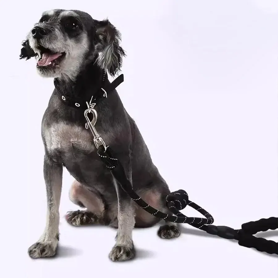 2m-3m-Extra-Long-Dog-Leash-Suitable-For-Large-Medium-Small-Dogs-Teddy ...