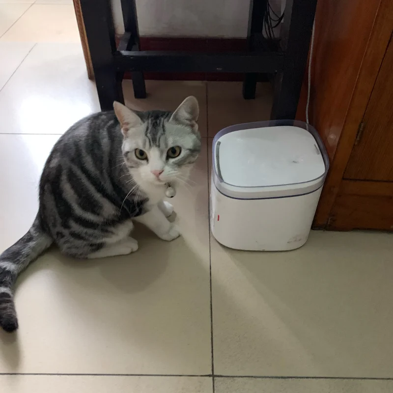 KITTEN PUPPY Electric Water Dispenser 4-Layer Filter Pets Drinking Feeder Water Fountain Pet Supplies for Cats Dogs Puppy Kitten pet drinking bottle
