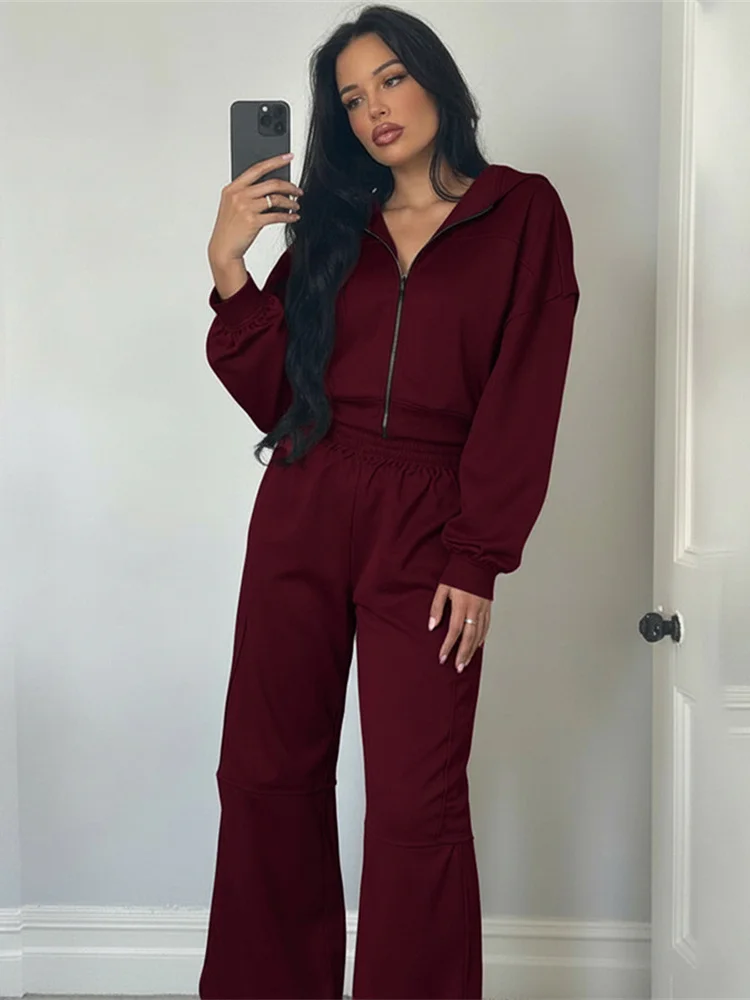 Nibber Casual Tracksuit Women 2 Piece Set Panelled Stripes Sporty Simple Hipster Hooded Zip Jacket+Wide Pants Matching Suits