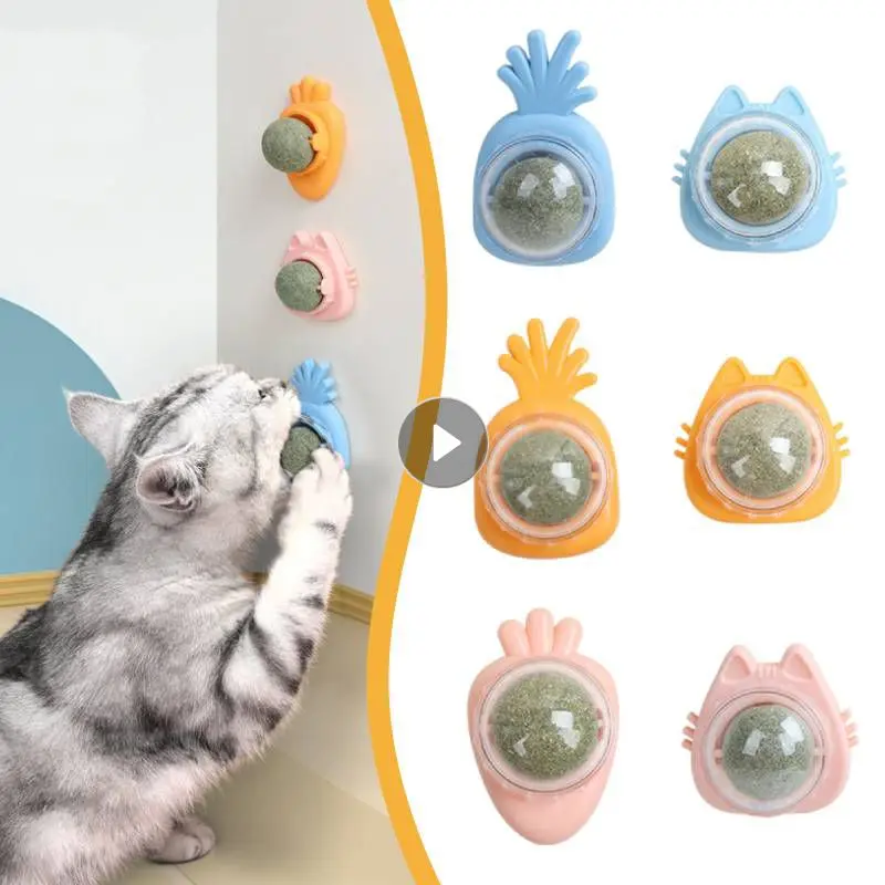 

360 градусов кошачья мята настенный мяч для кошек конфеты закуска мяч вращающаяся игрушка кошка игрушка самоклеящаяся кошачья мята мяч для чистки зубов съедобный мяч игрушка