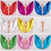 Belly Dance Wings Indian Dance Dance Wings Performance Costumes Dance Wings Adult 360 Degree Belly Dance Golden Silver Wings