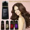 Nova Hair Dye Shampoo, Nova Hair Instant Dye Shampoo,Hair Dye Coloring  Shampoo For Gray Hair Long Lasting Nourish For Men Women 1