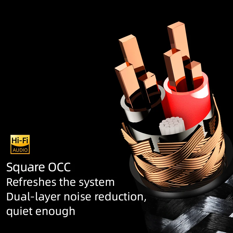 ERUMPENT  XLR 뷱  ̺, ũ DAC  2XLR - ̺, 1 