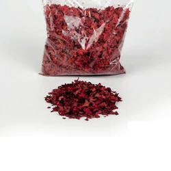 DIY Miniature Leaf Kit for Fairy Garden Decor and Bonsai Landscaping (Red)