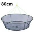 A 80cm