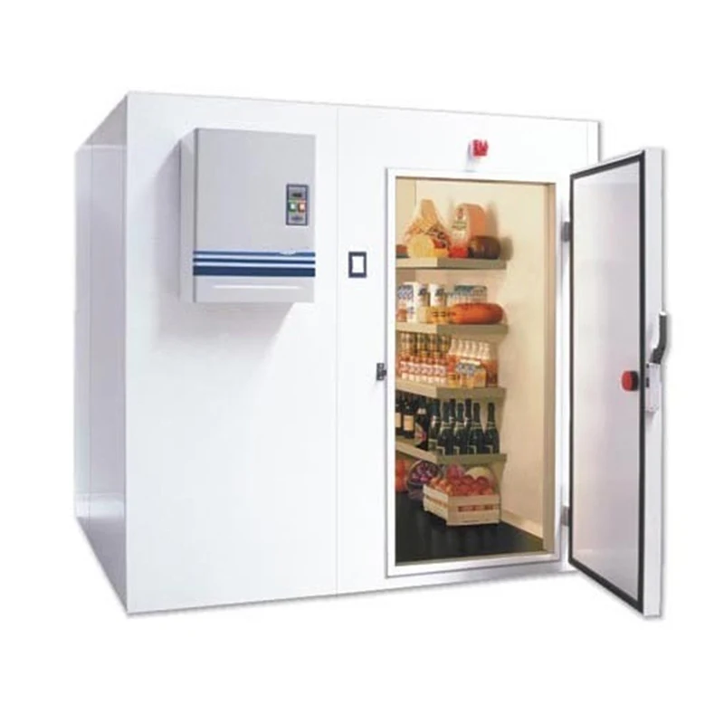 Cella Frigorifera Commerciale per Conservazione e Lavorazione di Alimenti Surgelati, per Pesce, Verdure, Gelato, Personalizzabile - immagine 2