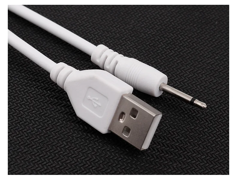 Chargeur USB compatible avec station d'accueil de vibrateur Rose Toy -  Support de charge rapide portable avec cordon de câble pour masseurs roses  uniquement (1 x blanc) : : Électronique