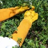 1 Pair Long Thorn Proof Rose Pruning Gloves Breathable Leather Floral Gauntlet Labor Protection Long Elbow Gloves for Women Men 1