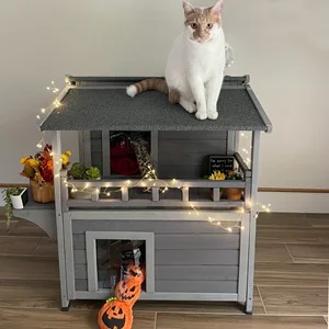 CAT HOUSE