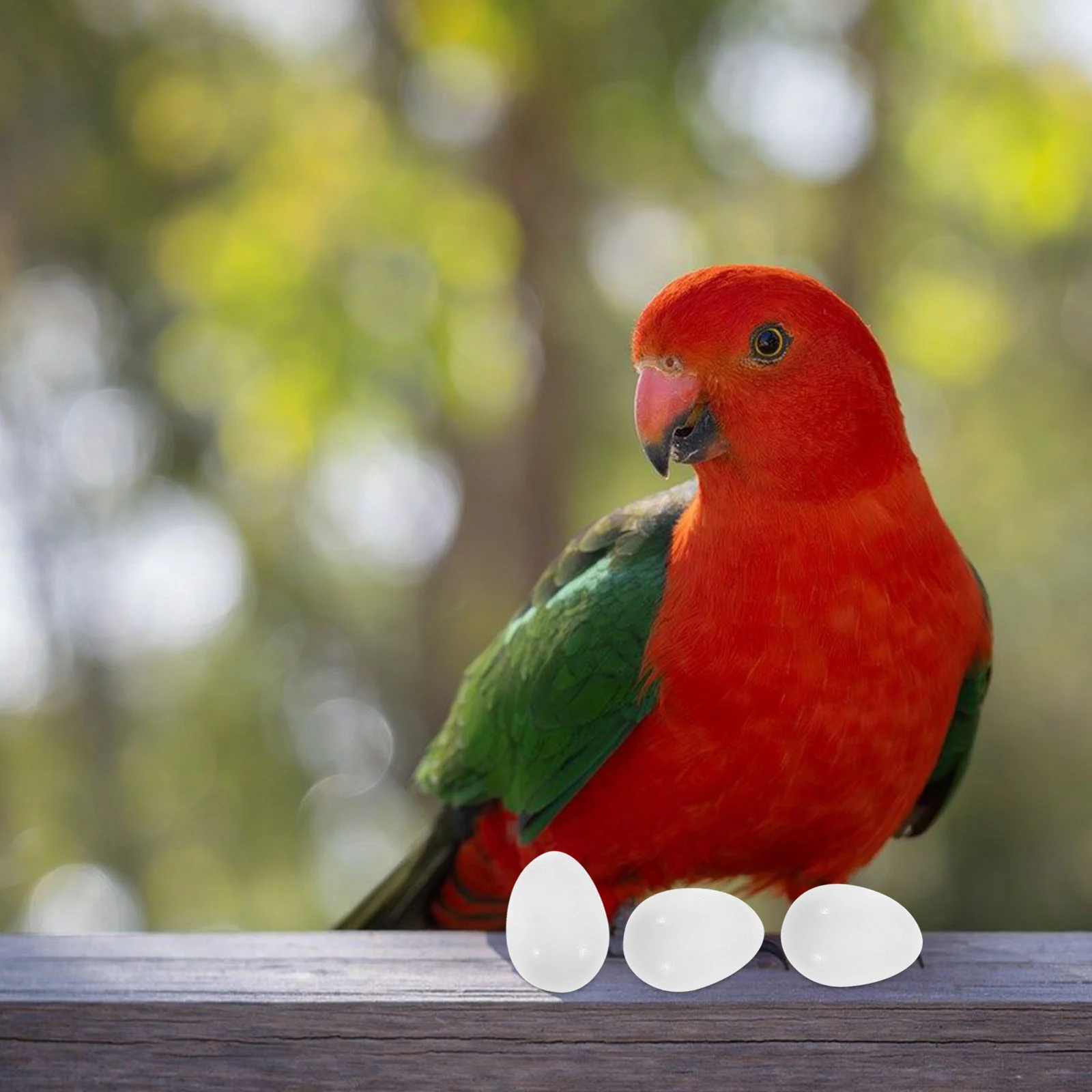 30 Pcs Parrot Fake Eggs Artificial Bird Egg Hatching Aid Training Tool Pet Products Solid Pigeon Egg Breeding Tools Pigeon
