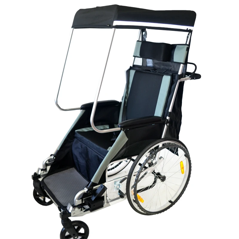 Bike Trailer For Adults 3in1 Jogger, Trailer, And Wheelchair With 20