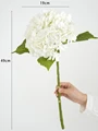 White hydrangea