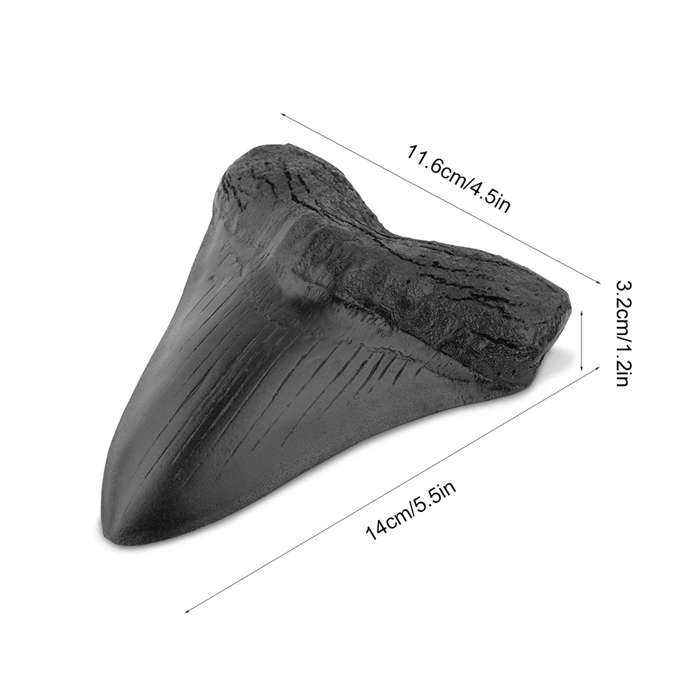 Black Shark Teeth Fossil 5inch Giant Megalodon Tooth Easy Clean Resin Shark Teeth Marine Bology Teaching Props for Kids Childs 6