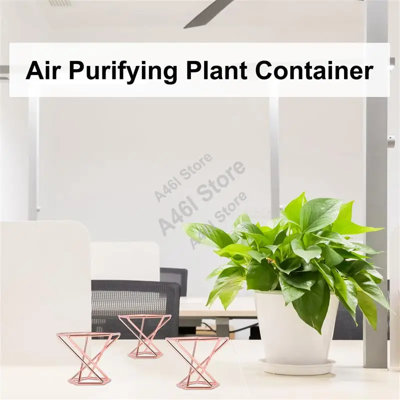 Pack 5 Air Plant Holder Air Plants Holders Tillandsias Display Air Purifying Plant Container Air Fern Stand-A46I