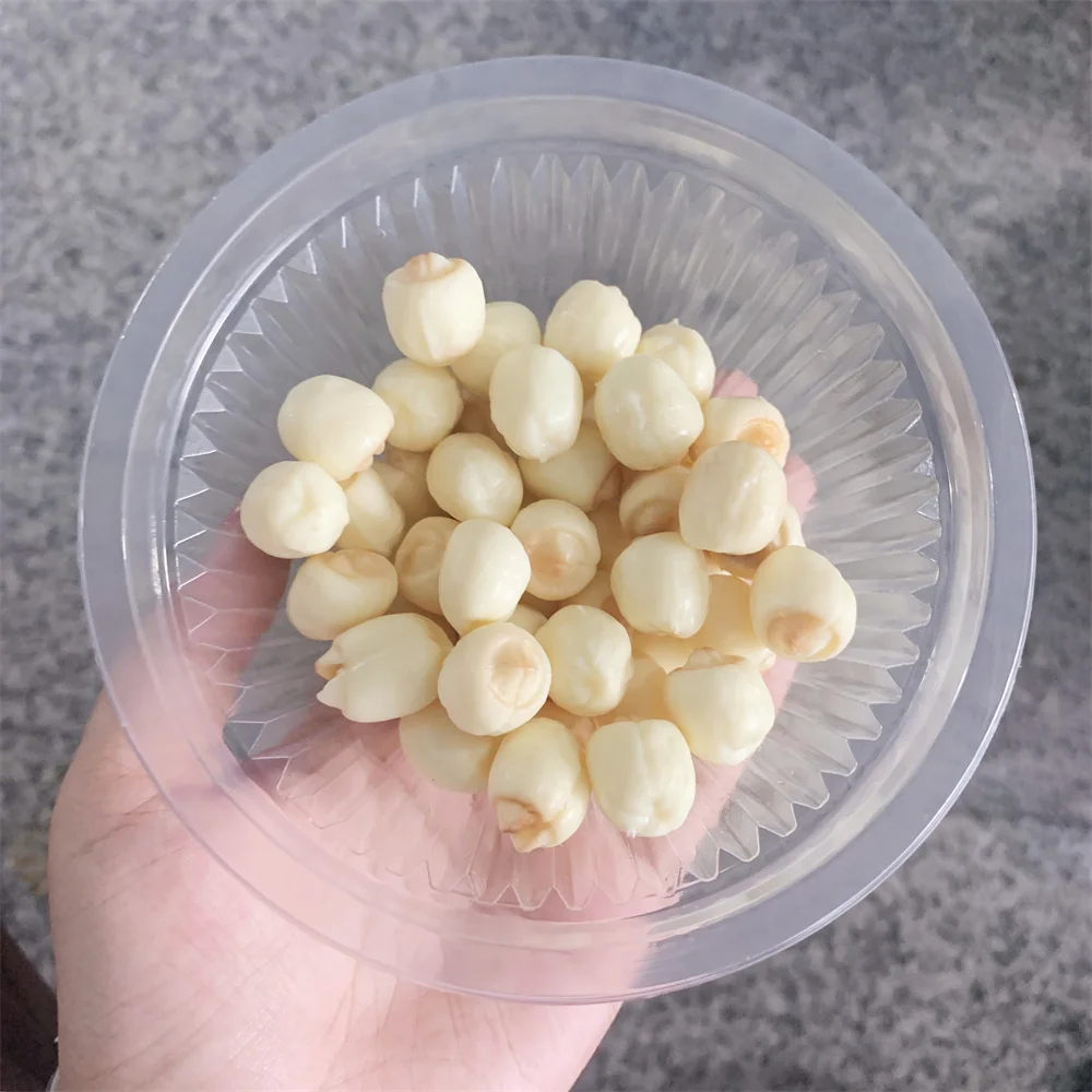 50g Bag 100g Lily Lotus Soup Model Nuts Traditional Snack Fake Seeds ASMR Video Props Slime Accessories PVC Simulated Food DIY food model