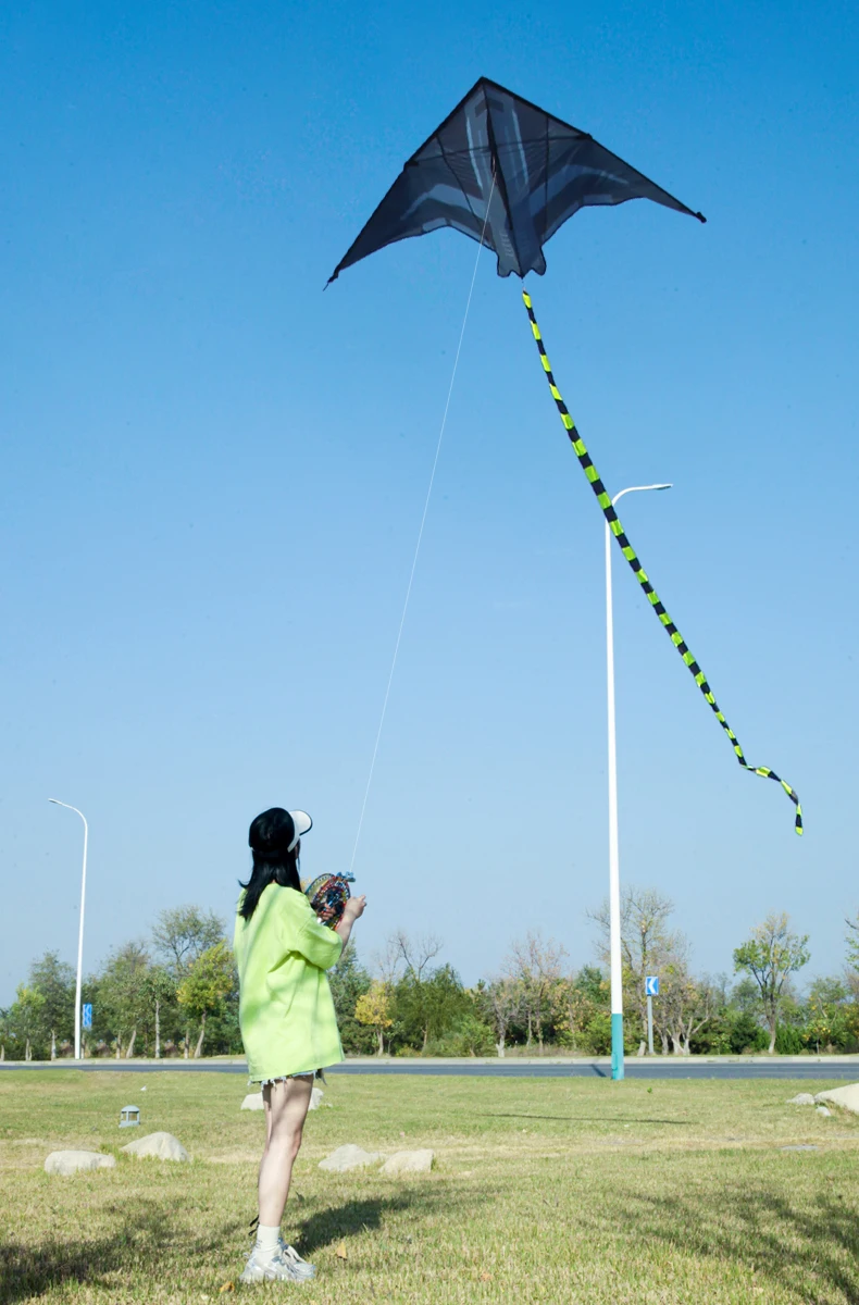 2m Aircraft Delta Kite in Flight