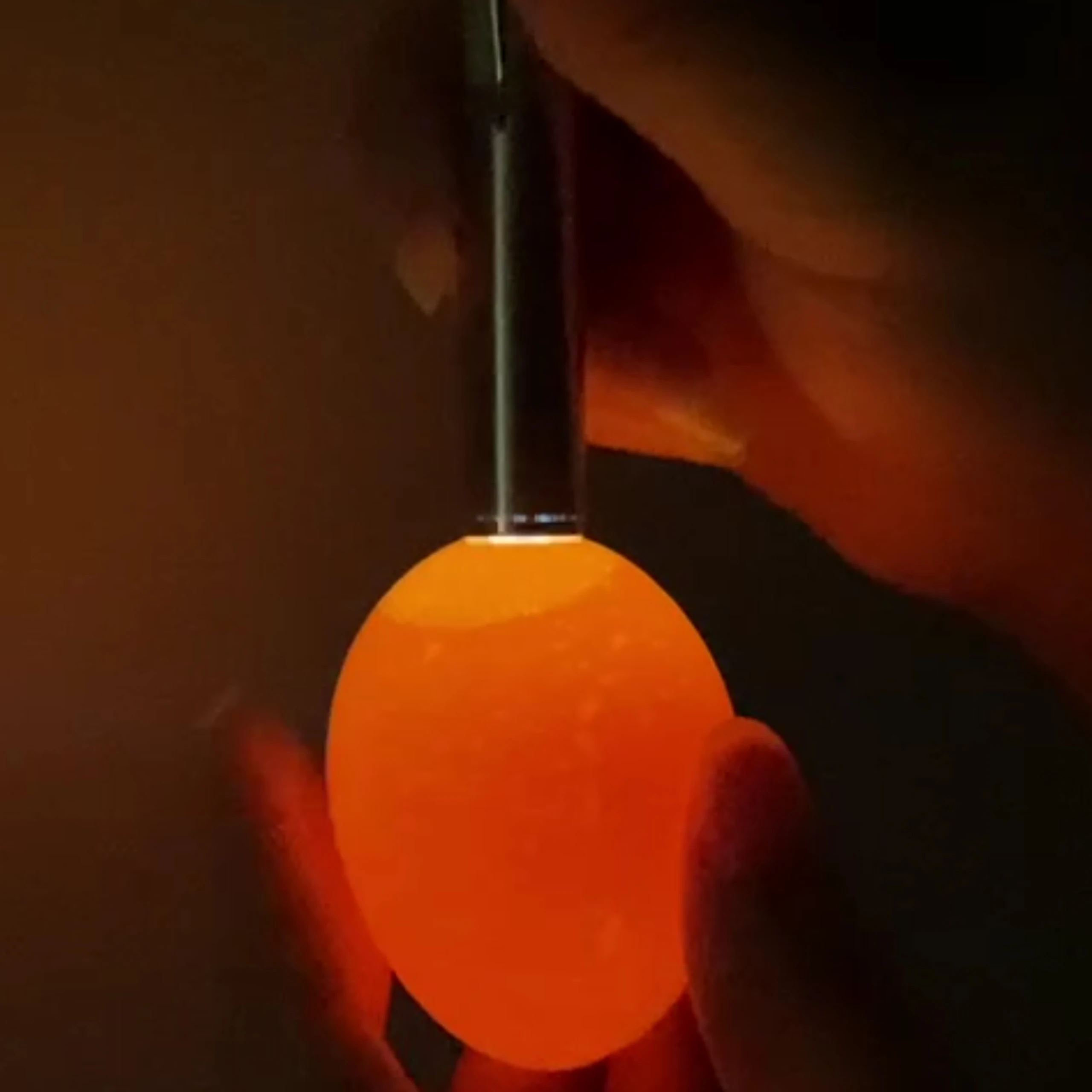 Egg Candler Livestock Incubator Light Inspection Stainless Steel Cold Light Flashlight LED Hatching Equipment Chicken Tools