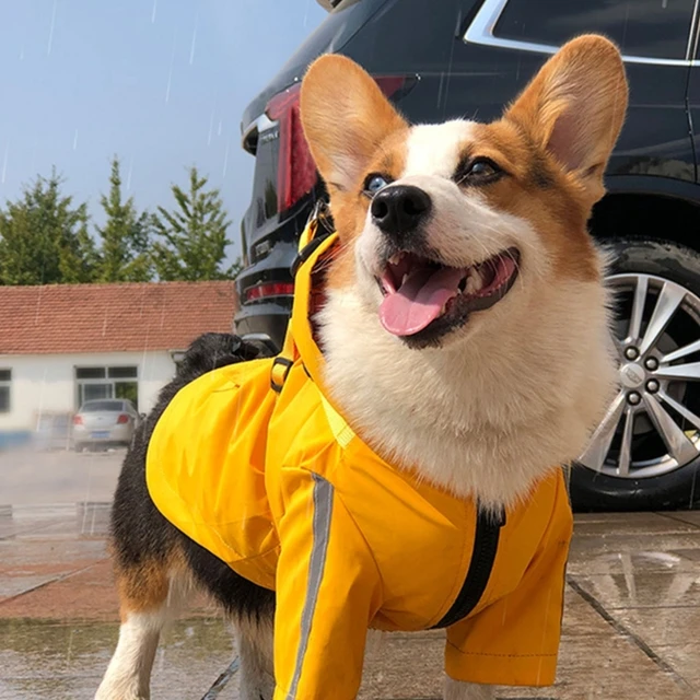 Manteau Imperméable Imperméable Pour Grands Chiens, 1 Pièce, Bandes  Réfléchissantes À La Mode, Vêtements Design Pour