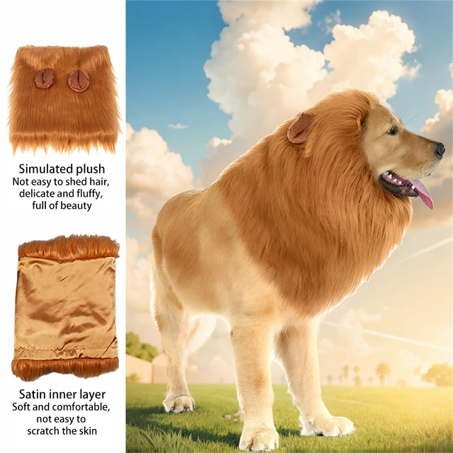 Costume creativo per cani da compagnia di grandi dimensioni