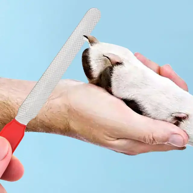 Pet Nail File Grooming Pet Nail Accessories For Home Cat Dog Rabbit Small Animal Buffing Filing Tool Dog Grinder Supply 2