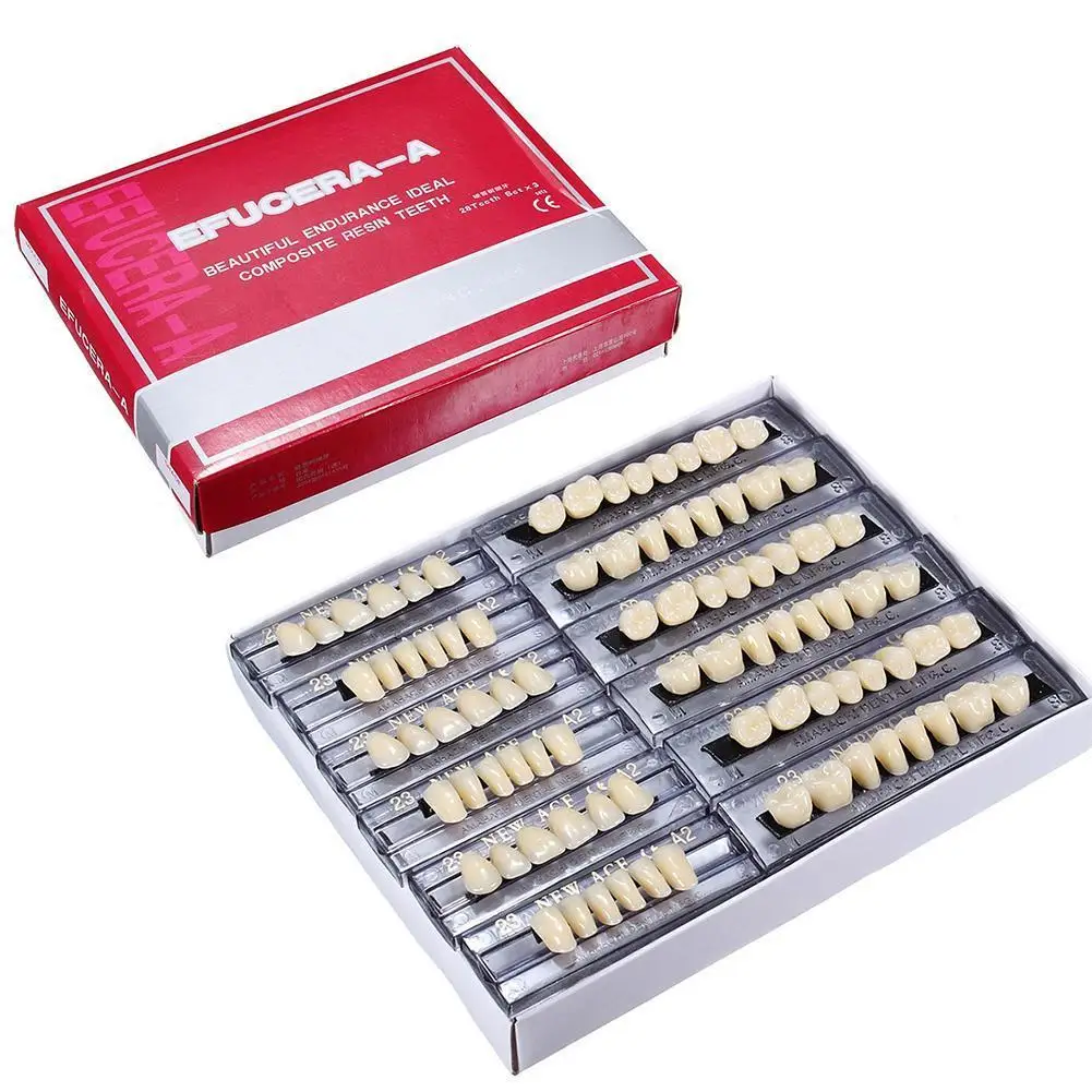 

28 Teeth Resin Denture Teeth Comparator Mirror Dentistry Bleaching Dental Plate Research On Dental Education Model