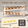 Slide Type Egg Carton Double Automatic Egg Roller Refrigerator Side Door Egg Storage Kitchen Countertop Egg Holder 5