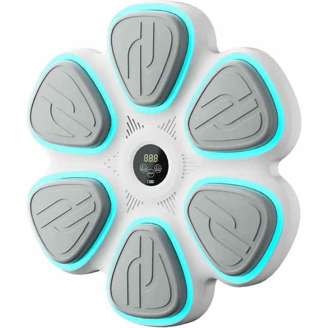 2025 Music Boxing Machine for Adults Bluetooth Music Punching Machine with Gloves 9 Modes and Speeds Wall Boxing Punching Pad H 1