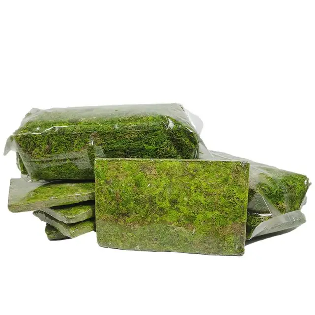 Természetes Sphagnum Moha Táplálkozás Szerves Műtrágya Védelme A Hidratáló Orchidea Zamatos Növényi Gyökerek Diy Virág Edény Otthoni Kert - Image 3