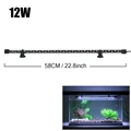 58cm BlueWhite Light