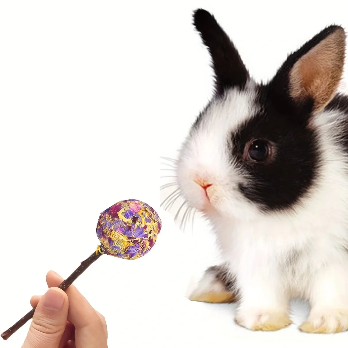 3 pieces-Rabbit molars, lollipops, petals, molars, grass balls, grass cakes, guinea pigs, apple branch molars