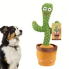 1pc Radiant Glowing Cactus Toy - Interactive Talking and Singing, Twistable Sand Sculpture Design - Perfect for Dogs and Cats 5