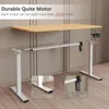Electric Height Adjustable Standing Desk Large 55 x 24 Inches Sit Stand up Desk Home Office Computer, Computers Desks 5