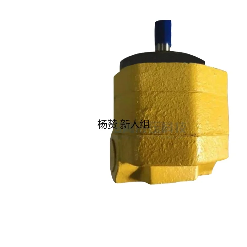 

Donggao Lubrication Pump Cycloidal Gear BB-B2.5 BB-B4 BB-B6 BB-B10