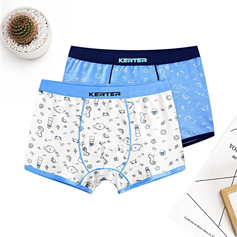 4pcs 100% Cotton Boys Underwear Kids Quality Boxer Boy Shorts Bottoms Boys Clothes For 3 4 6 8 10 12 14 Years Old RKU183004 boys underwear