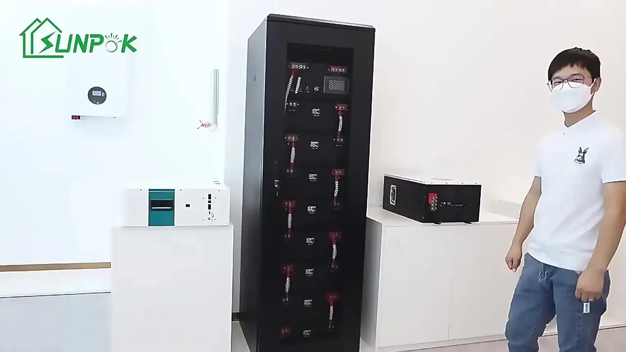 Сменная литиевая батарея Sunpok SP-48100-ZJ 51 2V 100Ah