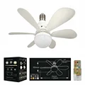 Basic payment-30W