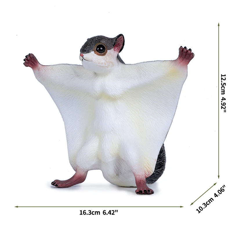 Flying squirrel