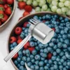 Fruit Picking Artifact Picker Head Blueberry Lingonberries Tool Grape Fruits Harvest Iron Cherry Avocado Citrus 5