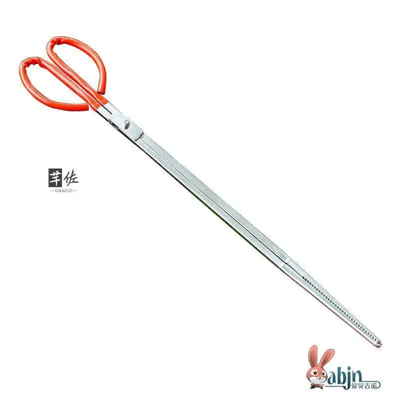 다기능 스테인레스 스틸 생선 집게 새로운 비자성 잉어 집게 진딧물 게 바닷가재 집게 바다의 신 낚시 도구