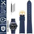 A blue-gold